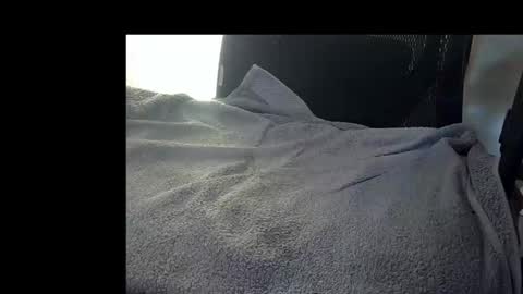 bislider online show from November 2025 09:10:02 AM