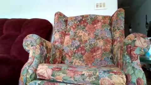 Brittany Bear online show from March 2026 05:58:02 PM