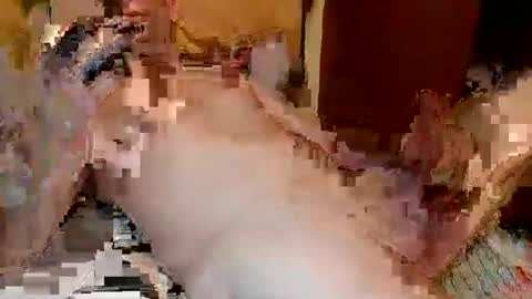 Snapshot of blagoy07 chatting on December 2025 11:09:02 PM blagoy07 online show from December 2025 11:09:02 PM