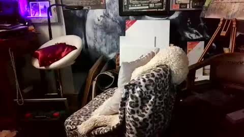 blindsurfer780299 online show from March 2026 05:08:01 AM