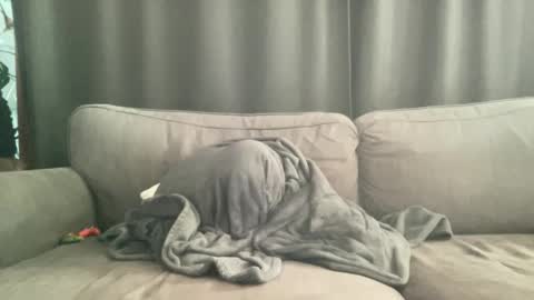 BlIdoL online show from November 2025 09:10:01 AM