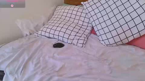 Sasha online show from February 2026 07:51:02 AM