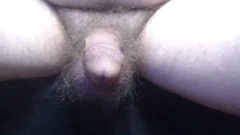 bluebee420 online show from November 2025 10:36:01 AM