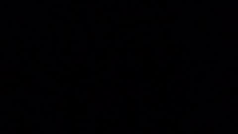 blueishgoldish online show from March 2026 12:14:01 AM