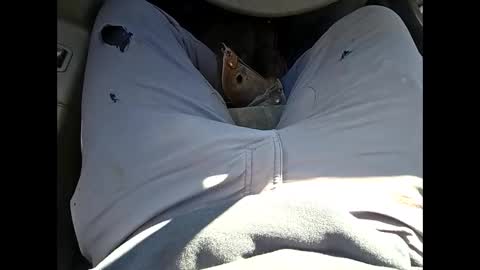 bombinshaman online show from January 2026 04:34:02 PM