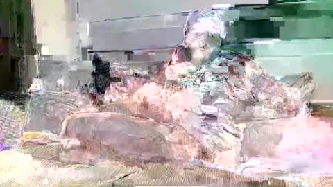 boner4you1994 online show from June 2026 11:51:02 PM