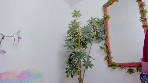   online show from March 2026 11:30:02 PM