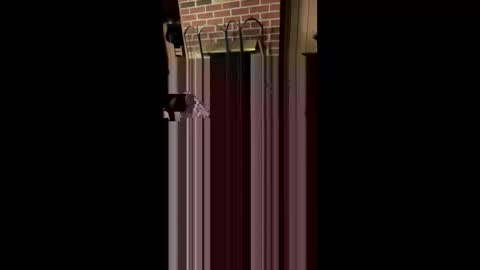 booboo1207 online show from April 2026 10:56:02 PM