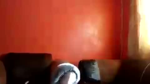 botsougaba online show from July 2026 07:48:02 AM