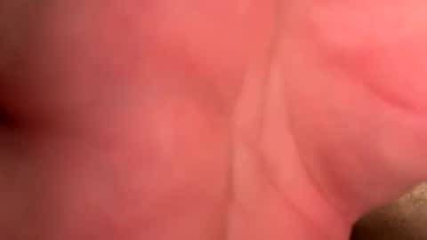 Branden online show from April 2026 09:59:02 PM