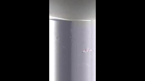 BeautifulDisasterxxx online show from March 2026 03:32:02 AM