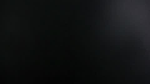 Bree online show from July 2026 11:01:02 AM