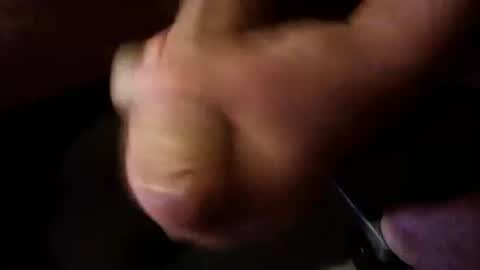 Breeder online show from September 2025 10:04:01 PM