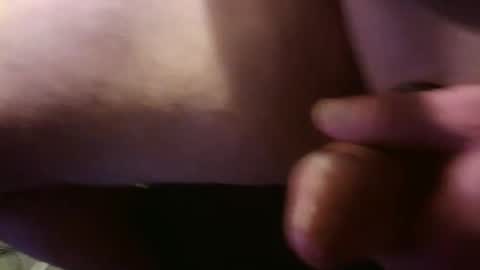 Breeder online show from November 2025 03:17:01 AM