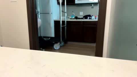 brickmeup online show from April 2026 10:32:01 PM