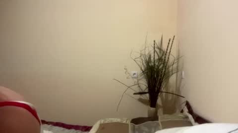 Ciri online show from June 2026 06:41:01 PM