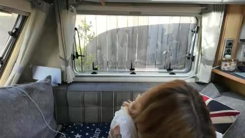  Want to see more online show from May 2026 08:20:02 AM