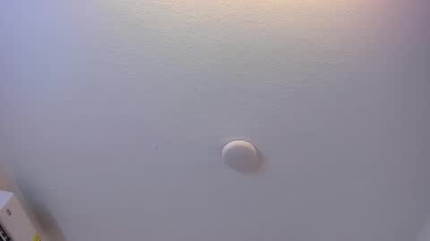 Brittany  online show from March 2026 07:39:02 PM