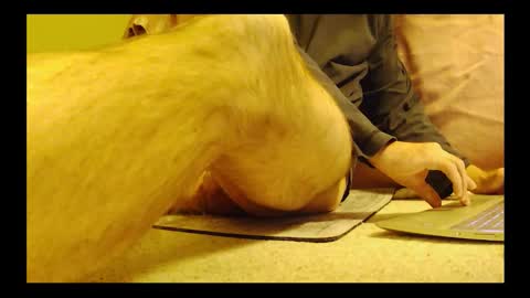 brode3 online show from January 2026 04:05:01 AM