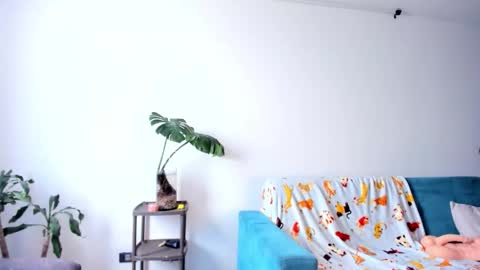  JOIN MY CHANNEL ON    TELEGRAM         online show from February 2026 07:43:01 PM