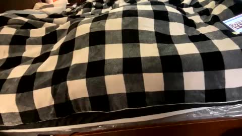 brownbootie1 online show from January 2025 04:05:01 PM