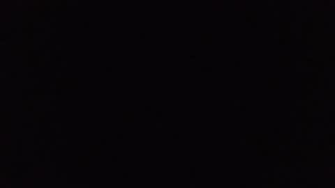 Buck Wessle online show from October 2025 02:02:01 PM