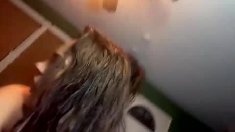 Yourtrippyhippy online show from November 2025 12:57:02 AM