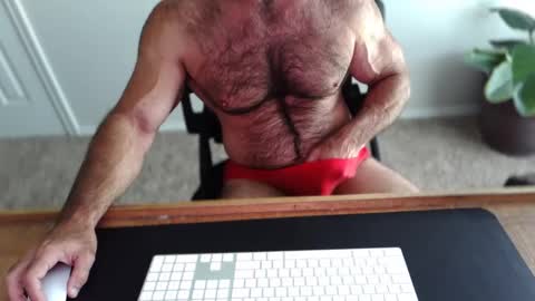 Snapshot of bullbud chatting on May 2026 02:23:01 PM Wrestling Dads.. hit me up. online show from May 2026 02:23:01 PM