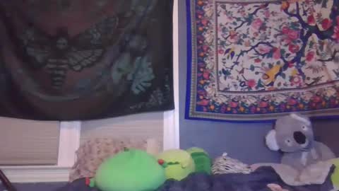 lilly online show from February 2025 10:46:01 AM