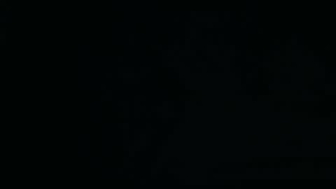 bustin hard sense 01 online show from February 2025 05:11:02 PM