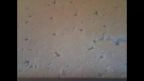 bwc198869 online show from May 2026 02:17:01 AM
