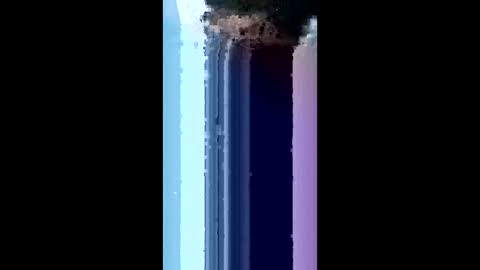 bydsknox online show from March 2026 02:06:02 AM