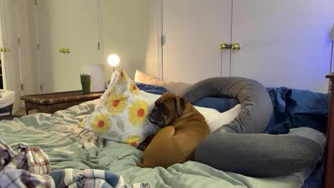 c2cmee online show from March 2026 04:38:02 AM