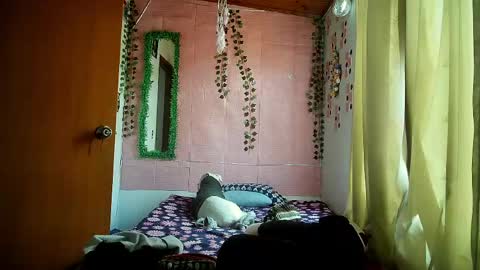 paula online show from April 2026 09:16:02 PM