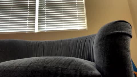 Snapshot of cam_albert1 chatting on February 2025 12:33:02 PM cam_albert1 online show from February 2025 12:33:02 PM