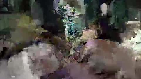 CameronRays online show from April 2026 11:57:01 PM