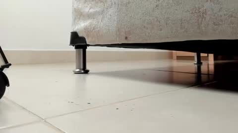 camii  online show from April 2026 11:43:01 PM