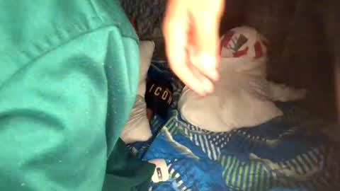 camivaron online show from January 2025 08:58:01 AM