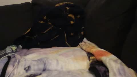     online show from September 2025 02:22:02 AM