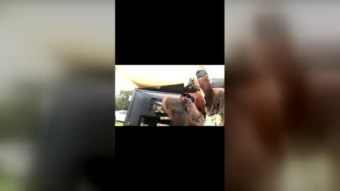 captain_deanos online show from February 2026 10:06:01 PM