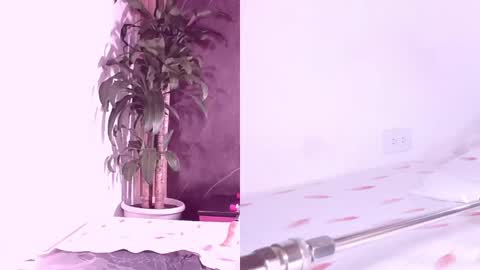 Carol online show from April 2026 11:21:02 AM