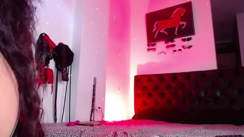Soft Carolina online show from May 2026 11:54:02 PM