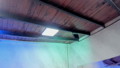 Snapshot of caroline_palmerr chatting on February 2026 03:27:01 AM Carolina online show from February 2026 03:27:01 AM