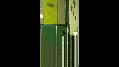 carrilloeverardo219 online show from March 2026 07:58:01 AM