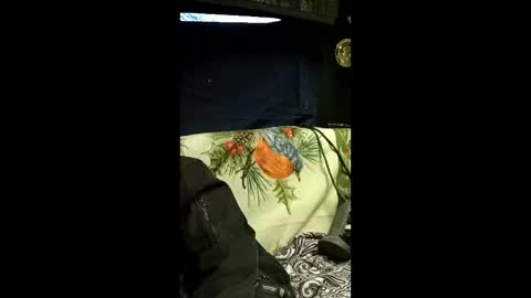 carrilloeverardo219 online show from March 2026 12:54:02 AM