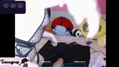 caseypup online show from December 2025 11:56:02 PM