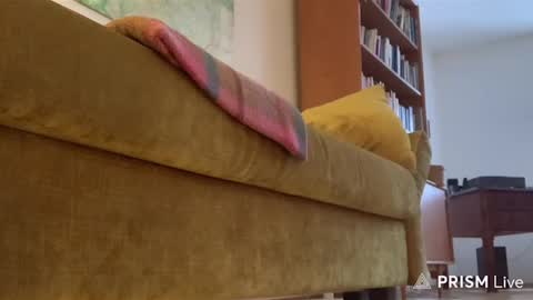 casperdavidfriedrich online show from February 2026 03:53:02 PM