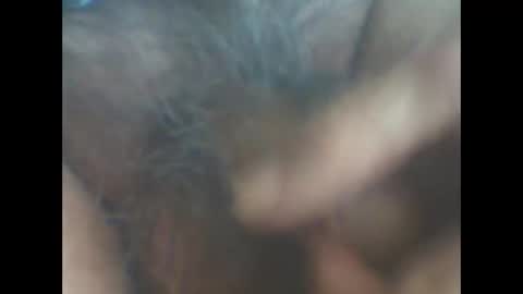 castells online show from May 2026 04:23:01 PM