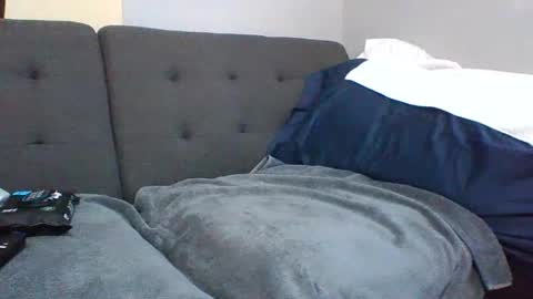 Snapshot of catsplace chatting on January 2025 01:52:02 PM catsplace online show from January 2025 01:52:02 PM