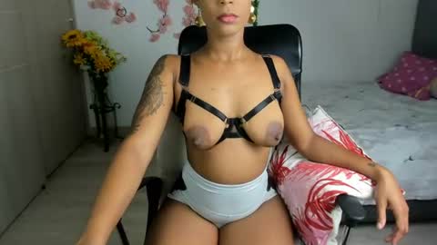 catta cat18 online show from July 2026 03:16:01 PM